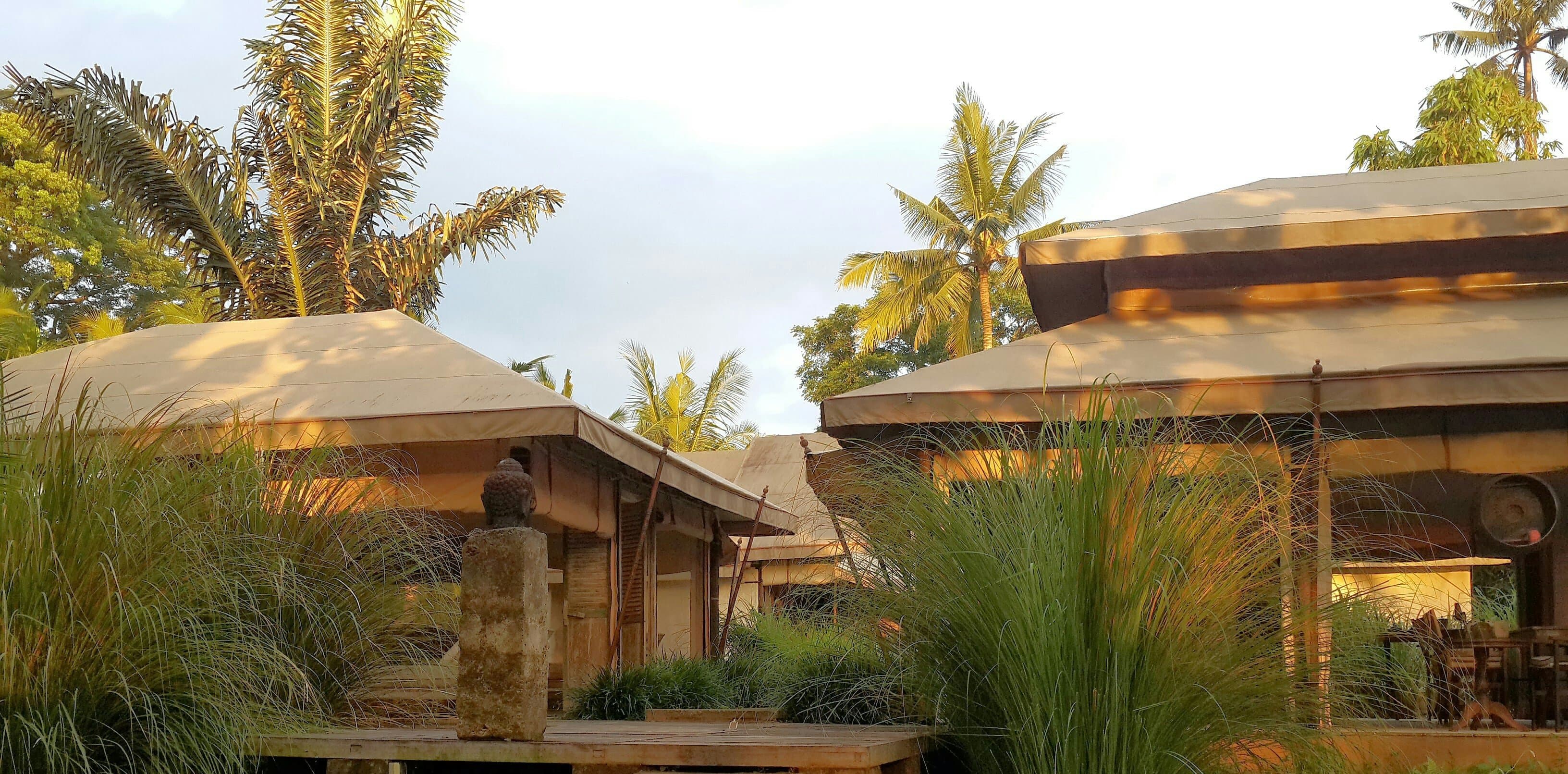 Outdoor canvas-roofed tent pavilions among palms and tall grass at the Sanctuary in Ubud, Bali